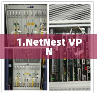 1.NetNest VPN