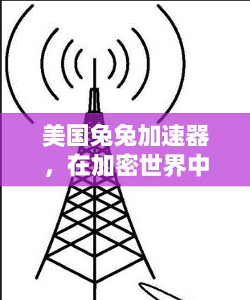 美国兔兔加速器，在加密世界中脱颖而出的通信解决方案