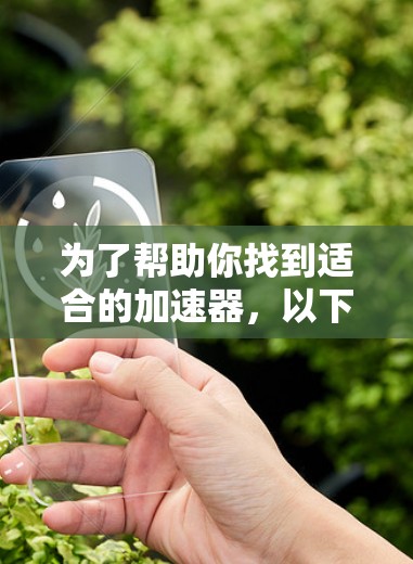 为了帮助你找到适合的加速器，以下是对不同需求和预算情况的总结和建议