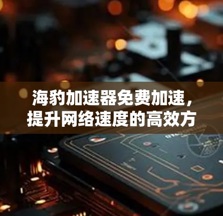 海豹加速器免费加速，提升网络速度的高效方法