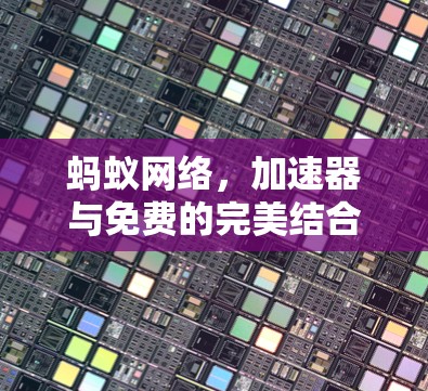 蚂蚁网络，加速器与免费的完美结合