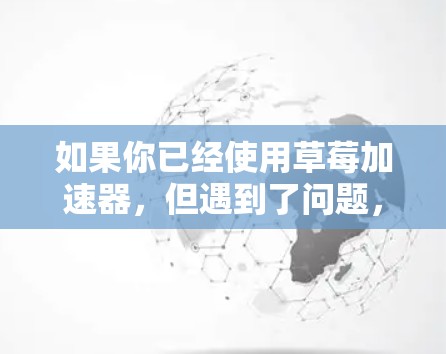 如果你已经使用草莓加速器，但遇到了问题，可以尝试以下步骤