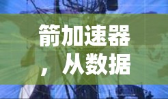 箭加速器，从数据到效率的神级解决方案