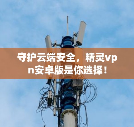 守护云端安全，精灵vpn安卓版是你选择！
