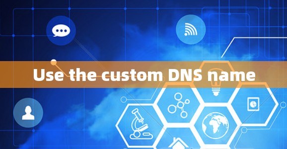 Use the custom DNS name