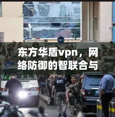 东方华盾vpn，网络防御的智联合与未来展望