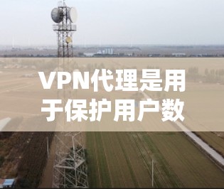 VPN代理是用于保护用户数据和安全的一种技术工具，通过加密传输来防止未经授权的访问。以下是几种常见的VPN代理，供您参考
