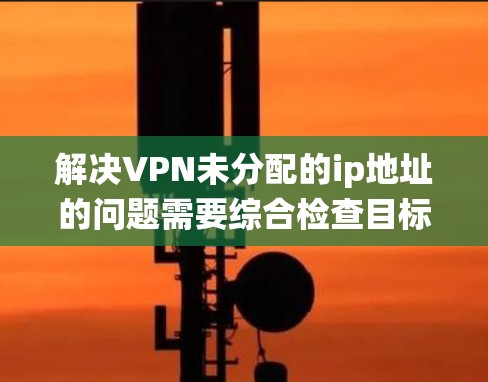 解决VPN未分配的ip地址的问题需要综合检查目标机器的硬件、系统和软件，以及使用相关的安全工具进行检测和防护。以下是一些步骤