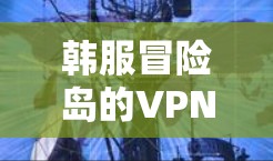 韩服冒险岛的VPN服务通常是为了保护用户的游戏内网络环境。具体操作方法如下