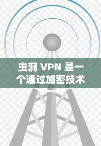 虫洞 VPN 是一个通过加密技术连接到其他网络的网络服务，旨在保护用户的数据安全和隐私。以下是其关键特点和使用场景