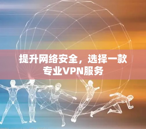 提升网络安全，选择一款专业VPN服务