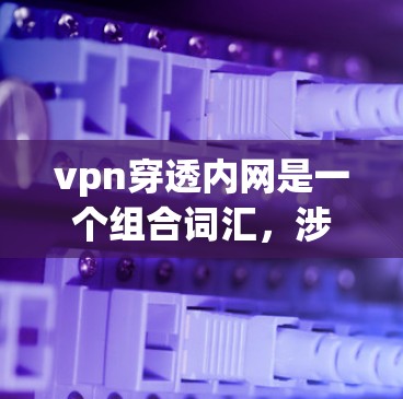 vpn穿透内网是一个组合词汇,涉及VPN、网络穿透和内部网络等多个概念。以下是对其含义的详细解释 vpn穿透内网是一个组合词汇,涉及VPN、网络穿透和内部网络等多个概念。以下是对其含义的详细解释