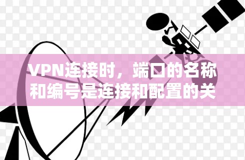 VPN连接时，端口的名称和编号是连接和配置的关键部分。以下是关于端口的一些基本信息和配置方法