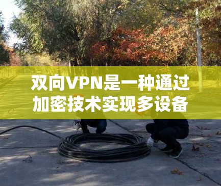 双向VPN是一种通过加密技术实现多设备之间的通信方式，满足不同应用场景的需求。以下是对其设计和实现的详细分析