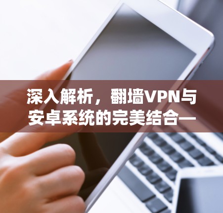 深入解析，<strong>翻墙</strong>VPN与安卓系统的完美结合—为您的网络安全保驾护航