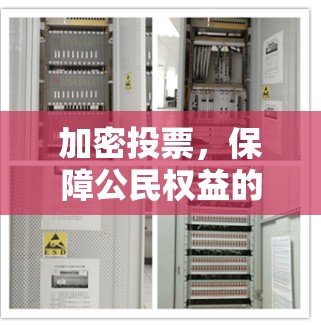 加密投票，保障公民权益的未来