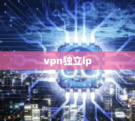 vpn独立ip