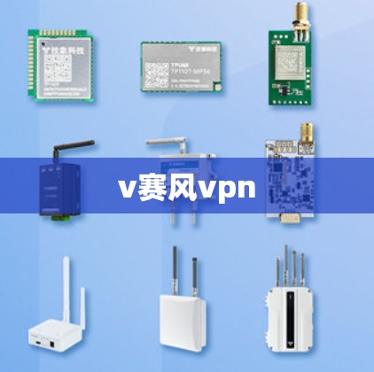 v赛风vpn