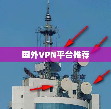 国外VPN平台推荐