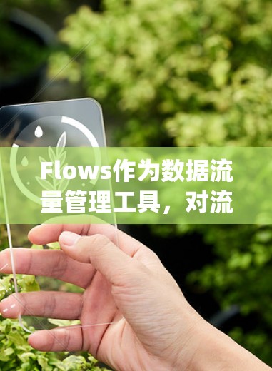 Flows作为数据流量管理工具，对流量控制非常重要，尤其是用于流量管理的流量 VPN。以下是关于Flows在流量vpn中的具体应用、使用方法、优缺点以及可能遇到的问题的详细分析