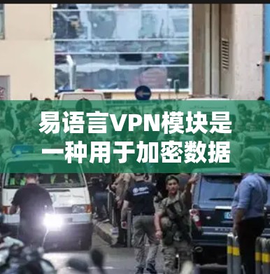 易语言VPN模块是一种用于加密数据传输的工具，适合在易语言中部署。以下是关于易语言VPN模块的详细介绍