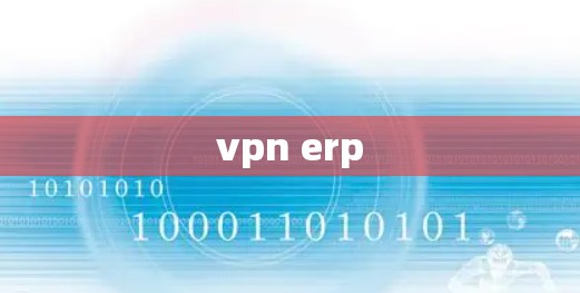 vpn erp