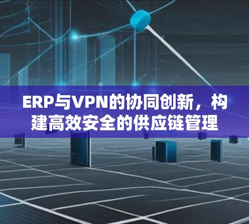 ERP与VPN的协同创新，构建高效安全的供应链管理