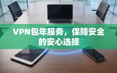 VPN包年服务，保障安全的安心选择