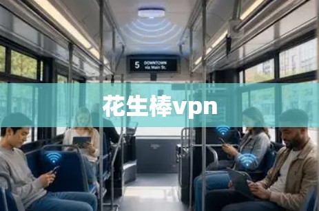 花生棒vpn