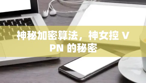 神秘加密算法,神女控 VPN 的秘密 神秘加密算法,神女控 VPN 的秘密