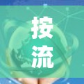按流量VPN的工作原理及应用
