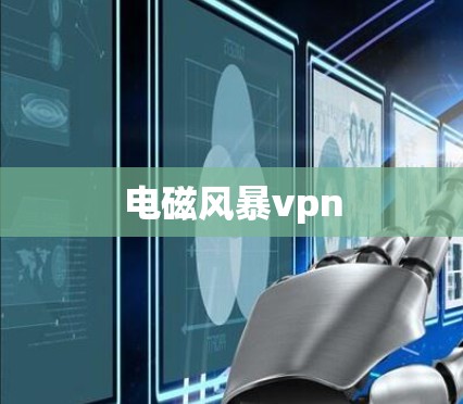 电磁风暴vpn