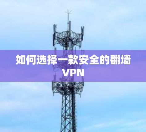 如何选择一款安全的<strong>翻墙</strong>VPN