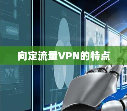 向定流量VPN的特点