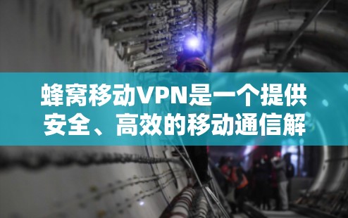 蜂窝移动VPN是一个提供安全、高效的移动通信解决方案的软件，适合个人用户和企业用户。以下是使用蜂窝移动VPN的具体步骤和注意事项