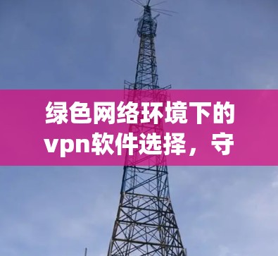 绿色网络环境下的vpn软件选择，守护您的数据安全与健康
