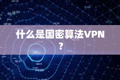 什么是国密算法VPN? 什么是国密算法VPN?