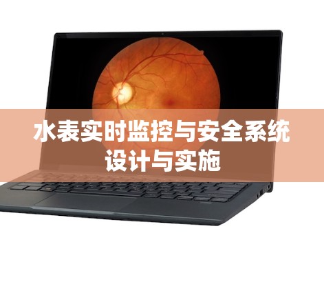 水表实时监控与安全系统设计与实施