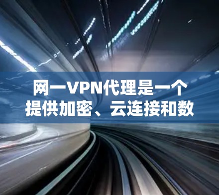 网一VPN代理是一个提供加密、云连接和数据保护服务的网络服务提供商。以下是对网一VPN代理的详细分析