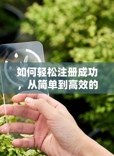 如何轻松注册成功，从简单到高效的心路历程