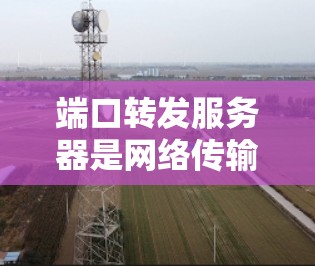 端口转发服务器是网络传输中的关键组件，用于将数据端口从一个服务器转换到另一个服务器。以下是端口转发服务器的详细架构和功能