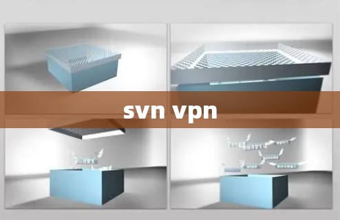 svn vpn