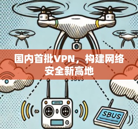 国内首批VPN，构建网络安全新高地