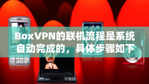 BoxVPN的联机流程是系统自动完成的，具体步骤如下