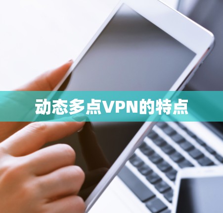 动态多点VPN的特点 动态多点VPN的特点
