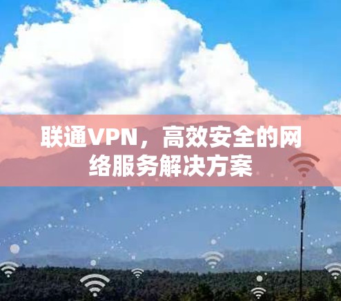 联通VPN，高效安全的网络服务解决方案