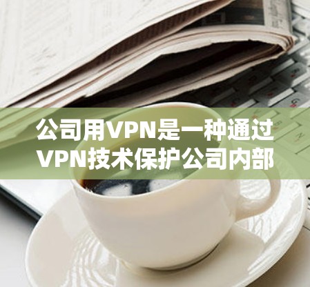 公司用VPN是一种通过VPN技术保护公司内部机密的措施，旨在确保内部人员的信息安全。以下是详细的分析和总结