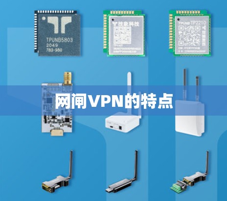 网闸VPN的特点 网闸VPN的特点