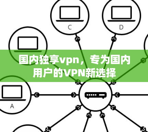 国内独享vpn，专为国内用户的VPN新选择