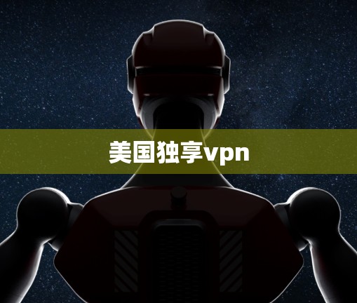 美国独享vpn